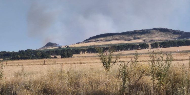 Alerta roja en las sierras: Bomberos combaten un voraz incendio en la zona de la Finca 8 Cerros