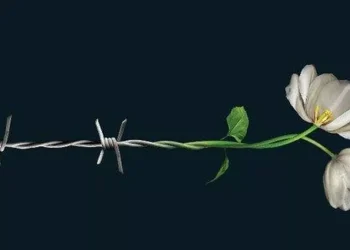 Día Internacional en Memoria de las Víctimas del Holocausto: ¿por qué se conmemora el 27 de enero?