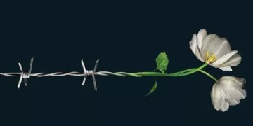 Día Internacional en Memoria de las Víctimas del Holocausto: ¿por qué se conmemora el 27 de enero?