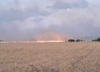 Emergencia en la Ruta 51: Descontrolado incendio avanza hacia Estomba impulsado por ráfagas de 75 km/h
