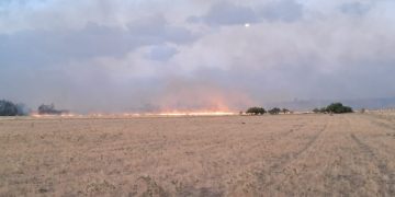 Emergencia en la Ruta 51: Descontrolado incendio avanza hacia Estomba impulsado por ráfagas de 75 km/h