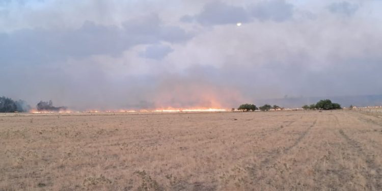 Emergencia en la Ruta 51: Descontrolado incendio avanza hacia Estomba impulsado por ráfagas de 75 km/h
