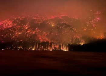 El Ministerio de Seguridad aseguró que identificará y juzgará a los responsables de los incendios