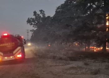 Incendio de grandes proporciones en Tornquist: tres horas de lucha contra el fuego y el viento