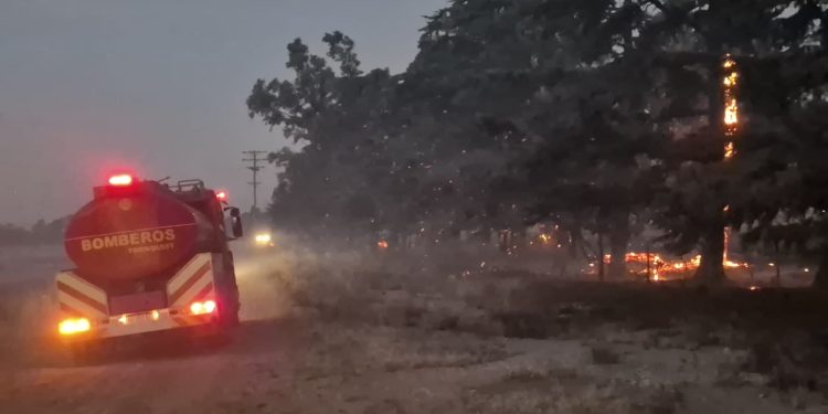 Incendio de grandes proporciones en Tornquist: tres horas de lucha contra el fuego y el viento