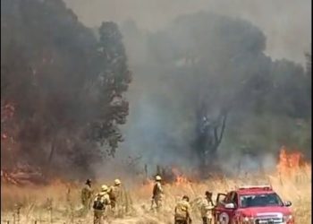 Lograron controlar el incendio en el sector del Dique Paso de la Piedras.