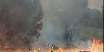 Lograron controlar el incendio en el sector del Dique Paso de la Piedras.