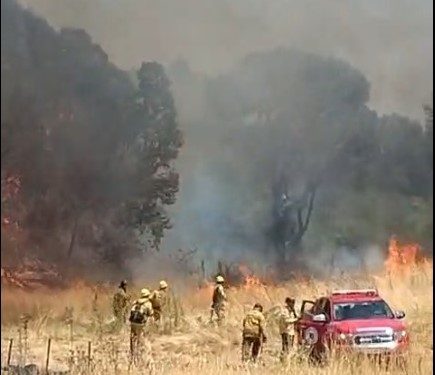 Lograron controlar el incendio en el sector del Dique Paso de la Piedras.