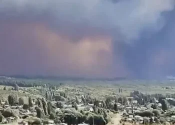 El fuego no para en Chubut y ya hay más de 35.000 hectáreas afectadas por los incendios