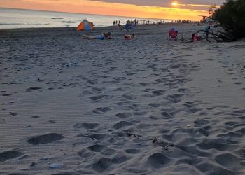 Los hijos de la impunidad