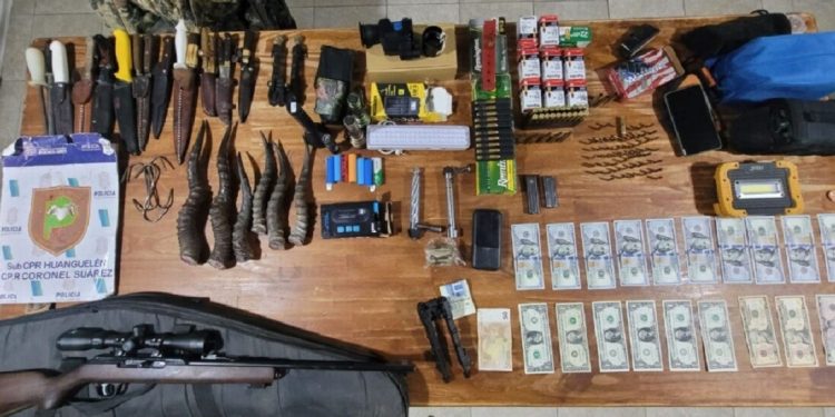 Golpe al furtivismo en Huanguelén: tres detenidos con un arsenal y divisas