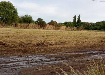 Tras el reclamo vecinal, Coronel Suárez realizó el mantenimiento en el sector ribereño de Cerro Ceferino