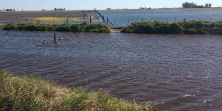 La Provincia va a fondo contra las obras hídricas clandestinas: Nueva resolución y controles satelitales