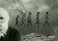 Día de Darwin: ¿por qué se conmemora el 12 de febrero?