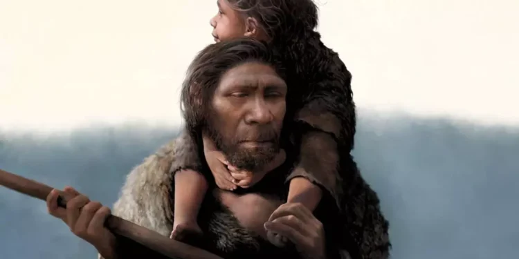 Un análisis revela que la hibridación humana se produjo sobre todo entre varones neandertales y mujeres sapiens
