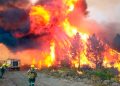 Ajuste en la zona más castigada por los incendios: Amenaza de más despidos en Parques Nacionales