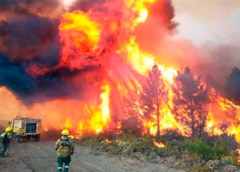 Ajuste en la zona más castigada por los incendios: Amenaza de más despidos en Parques Nacionales