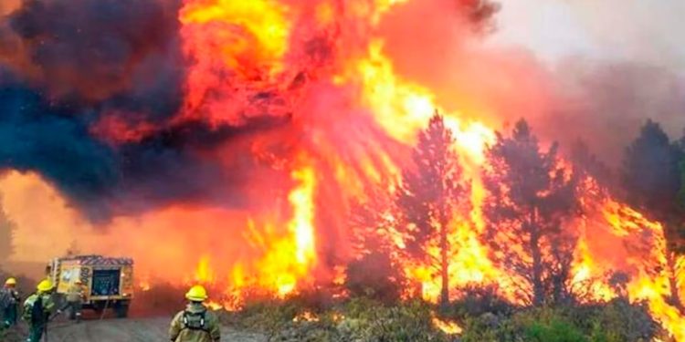 Ajuste en la zona más castigada por los incendios: Amenaza de más despidos en Parques Nacionales