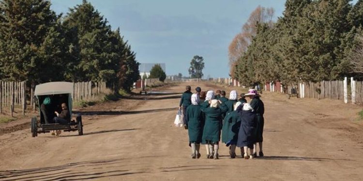 Una mujer denuncia violencia en una colonia menonita de Guatraché