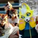 Therians y Furries: qué hay detrás de los videos de “humanos-animales” que invaden TikTok