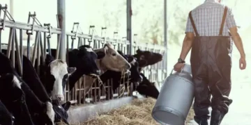 Día del Tambero: ¿por qué se celebra el 23 de febrero en la Argentina?