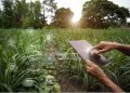 Las principales innovaciones tecnológicas que dan forma al futuro de la industria agrícola