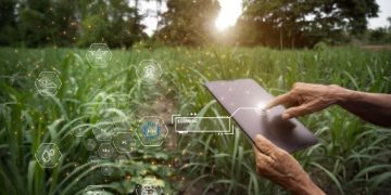 Las principales innovaciones tecnológicas que dan forma al futuro de la industria agrícola