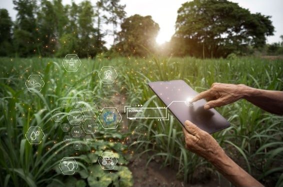 Las principales innovaciones tecnológicas que dan forma al futuro de la industria agrícola