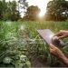 Las principales innovaciones tecnológicas que dan forma al futuro de la industria agrícola