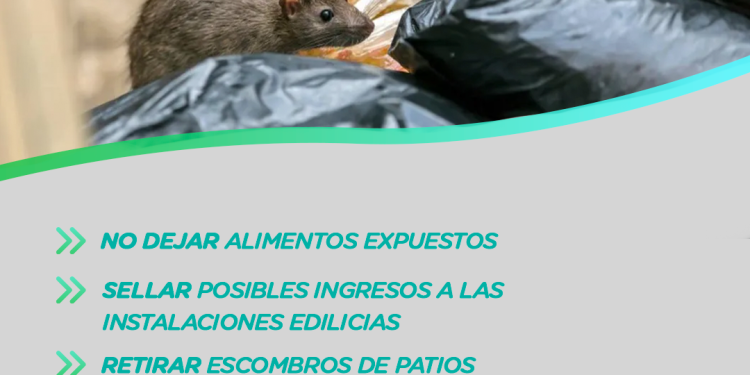 Bromatología y Zoonosis: Recomendaciones para prevenir la presencia de roedores