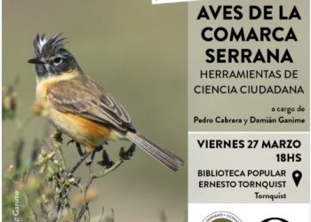 Ornitología y ciencia ciudadana en Tornquist: Charla abierta y gratuita sobre las aves de la comarca serrana