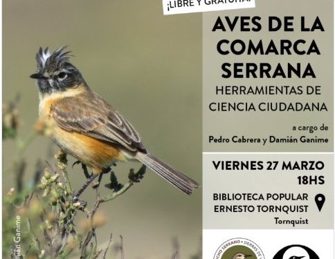 Ornitología y ciencia ciudadana en Tornquist: Charla abierta y gratuita sobre las aves de la comarca serrana