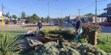 El renacer de la rotonda céntrica: tres vecinas transforman un espacio histórico de Sierra de la Ventana en un jardín florido
