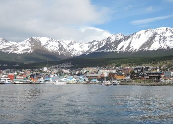 De las 40 especies al tesoro pirata: el fenómeno del Conicet que sedujo a Netflix