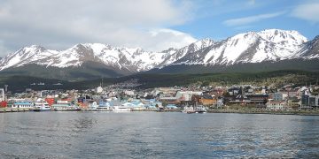 De las 40 especies al tesoro pirata: el fenómeno del Conicet que sedujo a Netflix