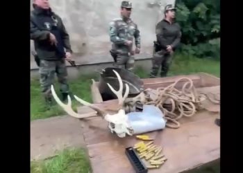 Tornquist: Resultado positivo en un allanamiento por delitos rurales