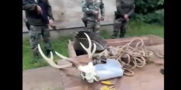 Tornquist: Resultado positivo en un allanamiento por delitos rurales