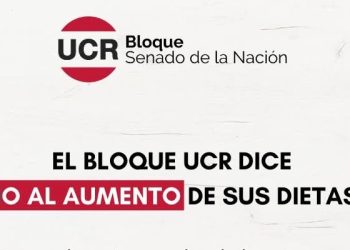 «No al aumento»: La UCR en el Senado se desmarca de las mejoras salariales