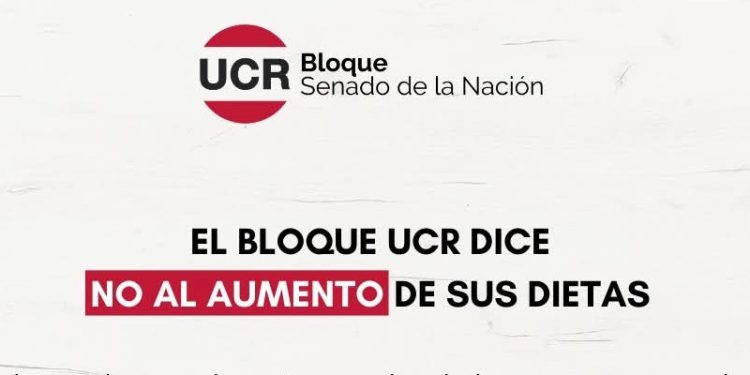 «No al aumento»: La UCR en el Senado se desmarca de las mejoras salariales