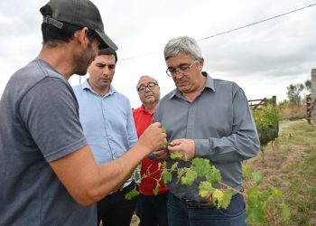 Javier Rodríguez advirtió: “En la Fiesta de la Vendimia Nacional no hay nada que festejar”