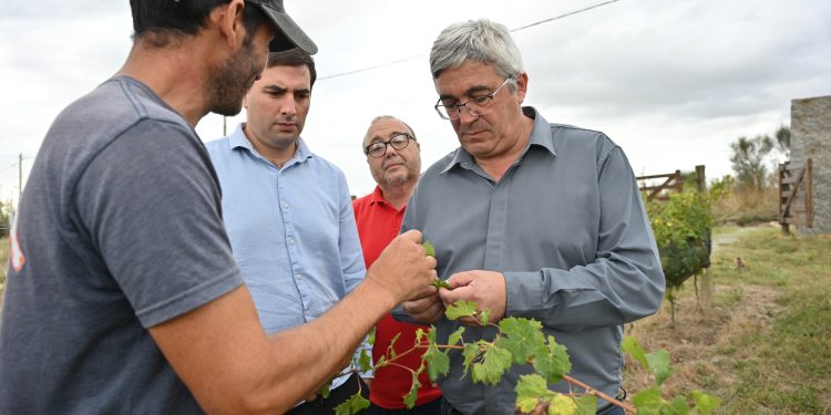 Javier Rodríguez advirtió: “En la Fiesta de la Vendimia Nacional no hay nada que festejar”
