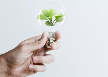 Día Mundial de la Eficiencia Energética: ¿por qué se celebra el 5 de marzo?