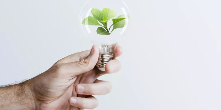 Día Mundial de la Eficiencia Energética: ¿por qué se celebra el 5 de marzo?