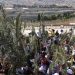Israel prohíbe la procesión de Domingo de Ramos por primera vez en siglos: fuerte rechazo internacional