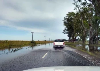 Urgente: Piden circular con extrema precaución en la Ruta Nacional 22