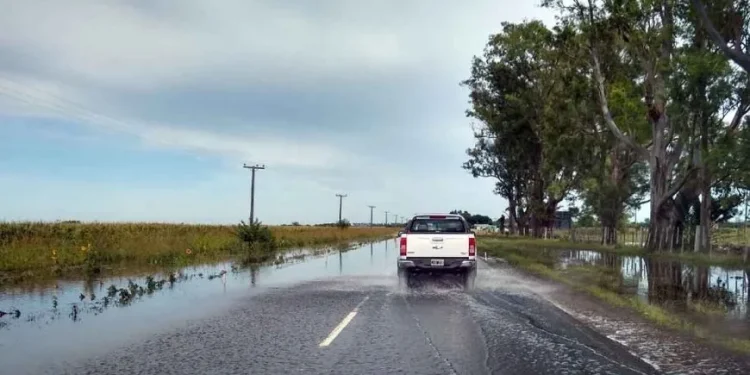 Urgente: Piden circular con extrema precaución en la Ruta Nacional 22