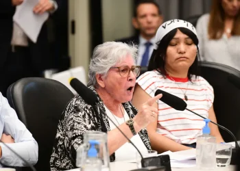 Ley de Glaciares: “Los cambios incumplen una importante cantidad de preceptos constitucionales”