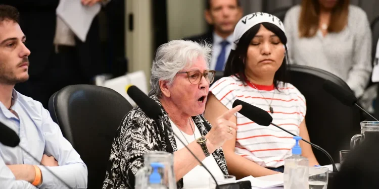 Ley de Glaciares: “Los cambios incumplen una importante cantidad de preceptos constitucionales”