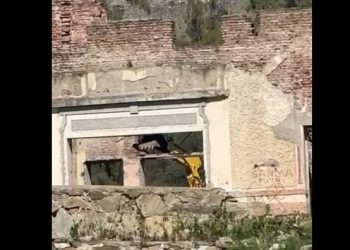 Graves daños al patrimonio: La Intendente Estefanía Bordoni desplazó a dos funcionarios y radicó una denuncia penal