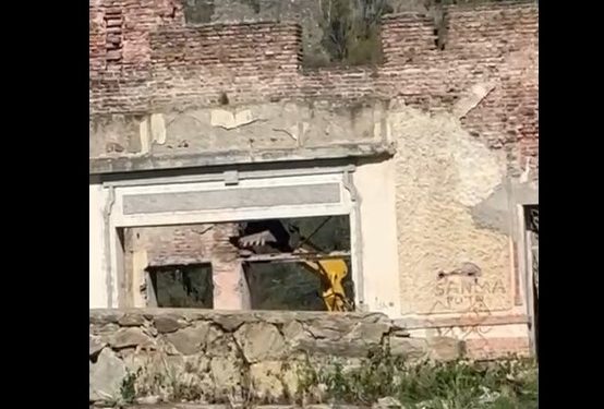 Graves daños al patrimonio: La Intendente Estefanía Bordoni desplazó a dos funcionarios y redicó una denuncia penal